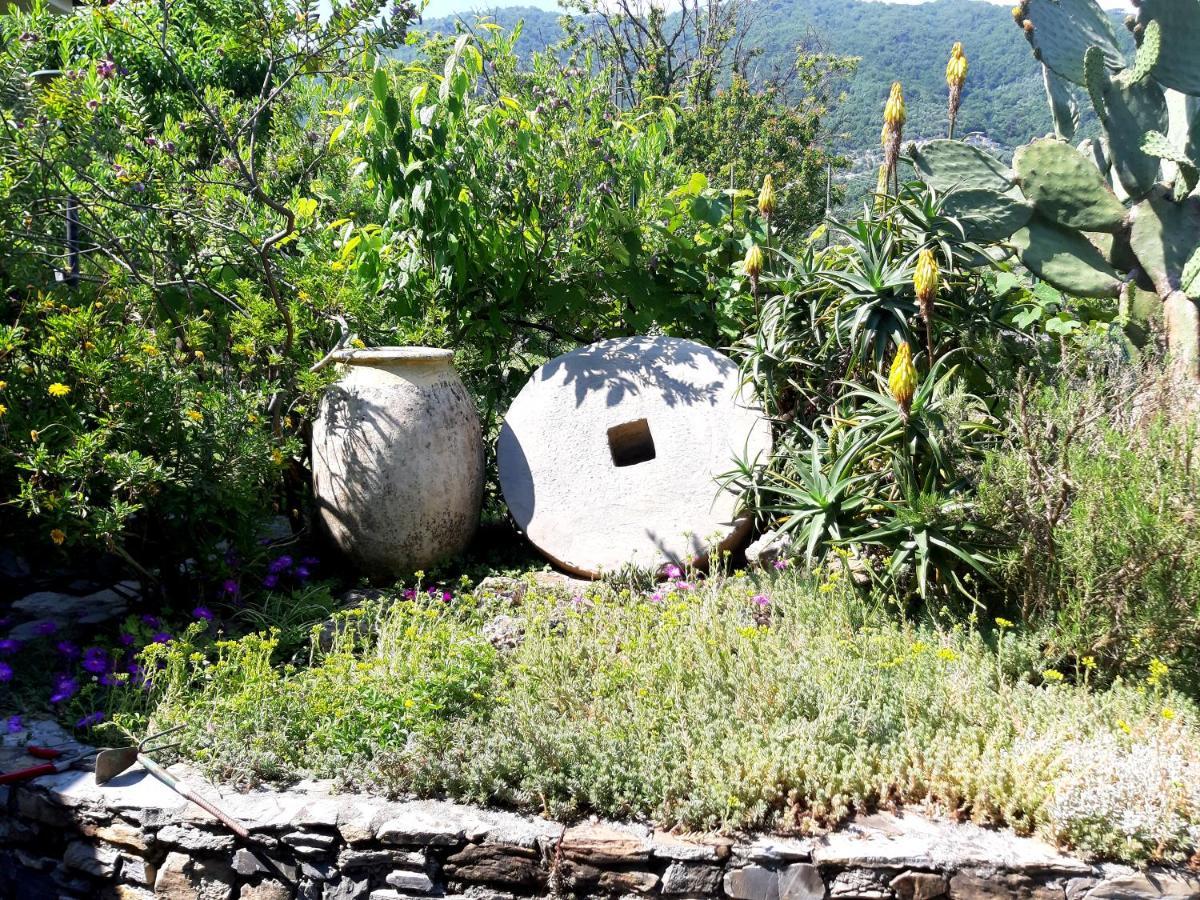 Hébergement de vacances L'antico Frantoio